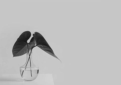 For Employers - Professional recruitment services