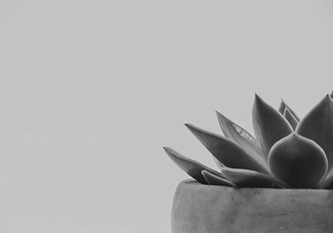 Executive Search - Leadership recruitment and placement