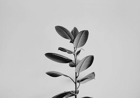 For Job Seekers - Career opportunities and guidance